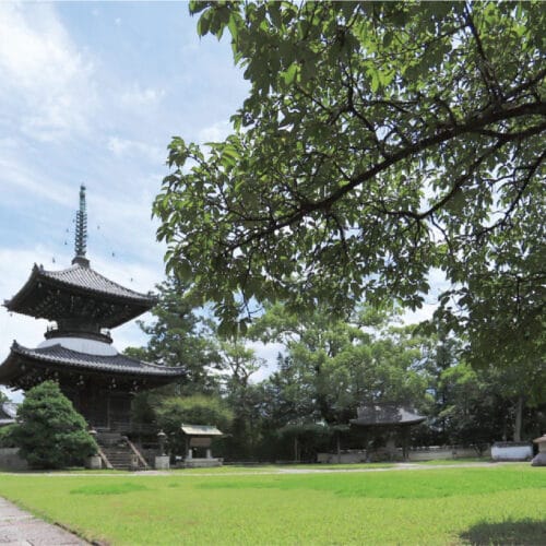 The Dream of Kumagusu – Tour of Kozanji Temple and Art