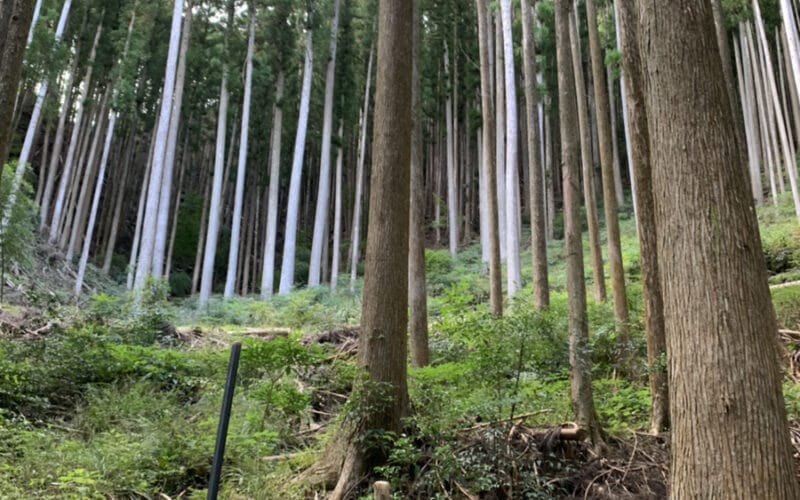 伝統を守り、未来へ繋ぐ – 林業と農業のあり方 –