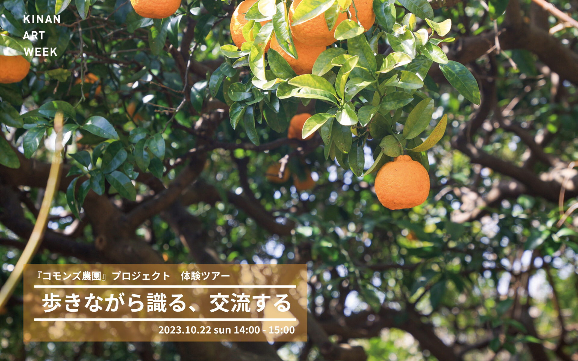 歩きながら識る、交流する』ワークショップ | KINAN ART WEEK（紀南