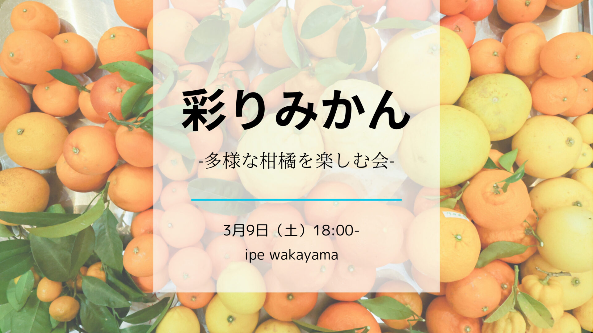 彩りみかん -多様な柑橘を楽しむ会 – | KINAN ART WEEK（紀南アート