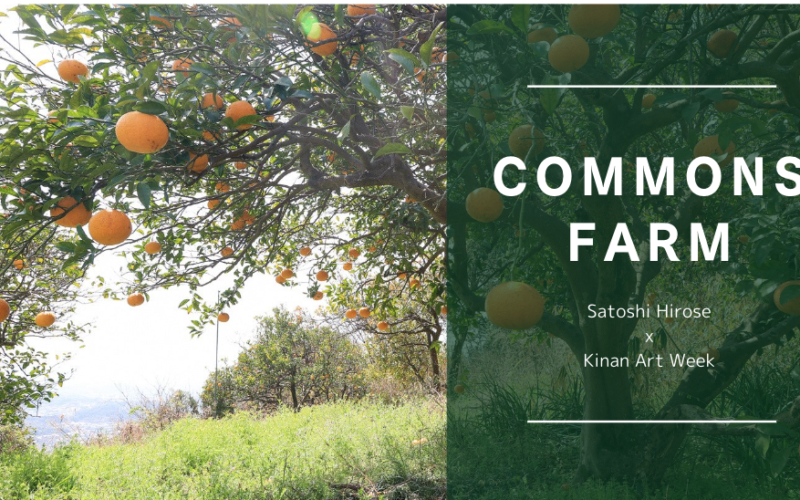 We are Looking for Citrus Farmland in the Kinan Area!