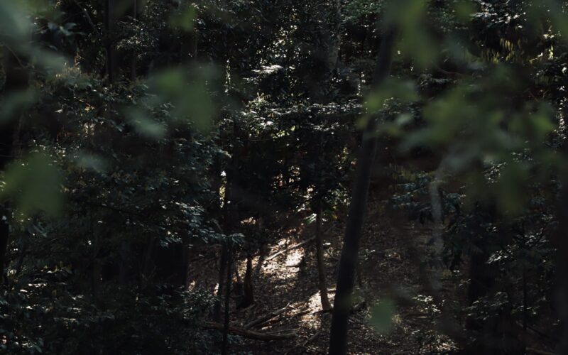 熊野三山 アート・リサーチ・プログラム