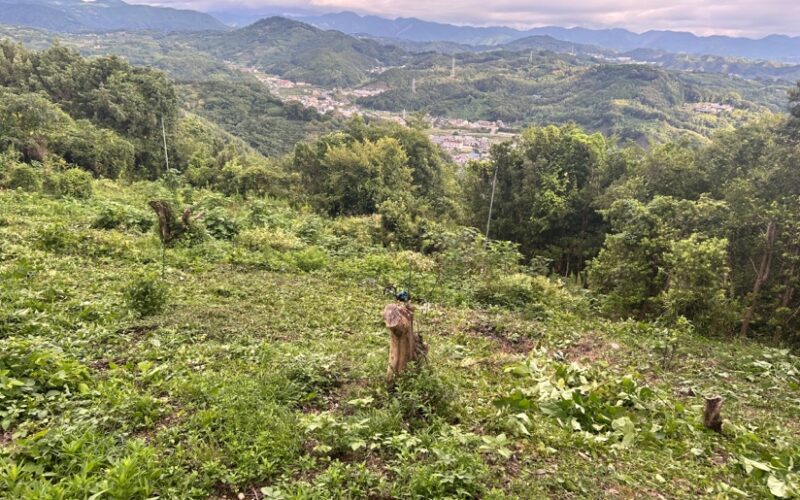 草を刈る、波を待つ ― コモンズ農園の現在地